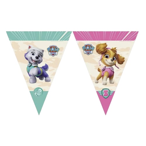 paw-petrol-skye-bayrak-set-2-1f-466.png