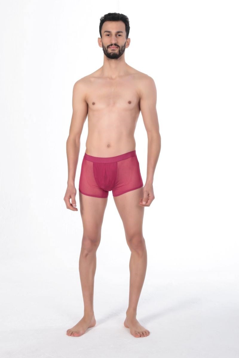 Jeu Jeu Sheer Boxer – Transparan İnce Tül Modern Erkek Boxer Fuşya