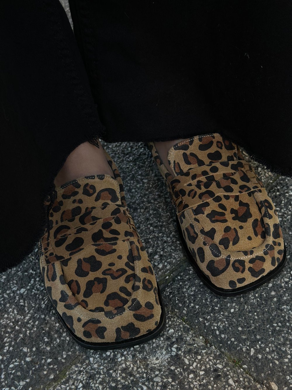 Leopar sin