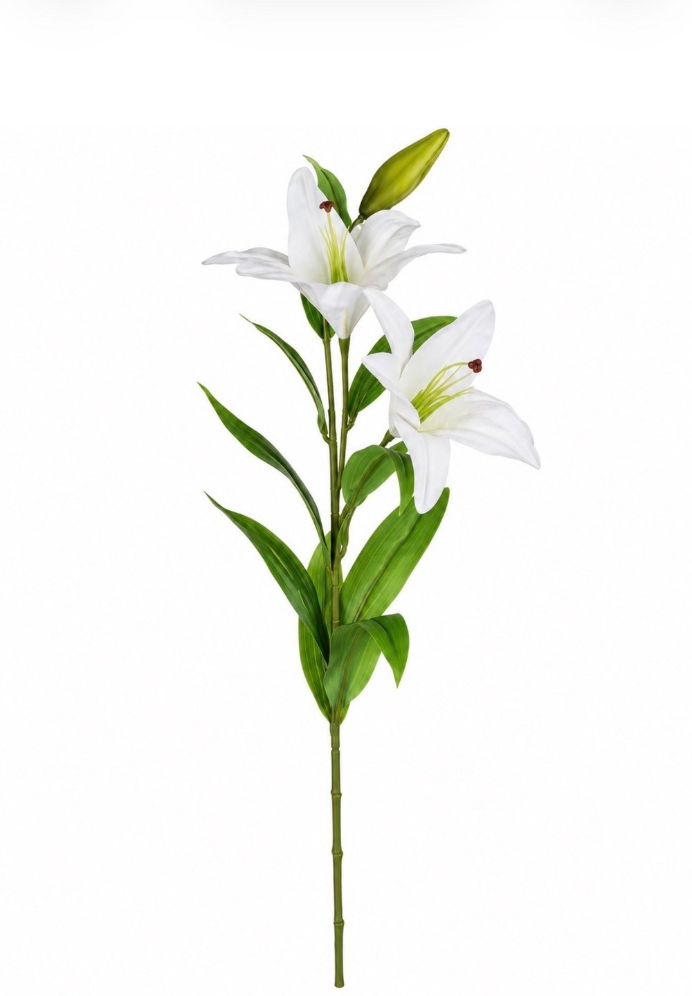 Islak Dokulu Lilyum 96cm