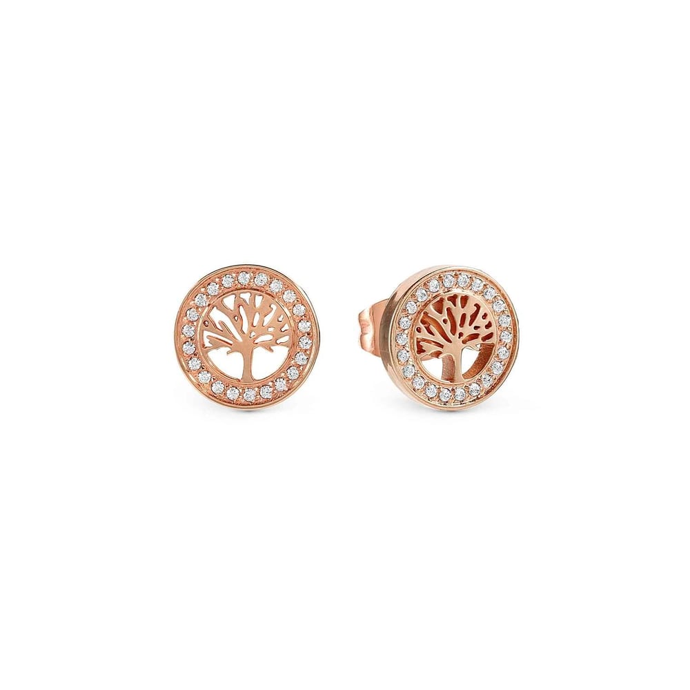 Soffio D'Amore Zirkon Taşlı Küpe Hayat Ağacı Rose Gold Renk