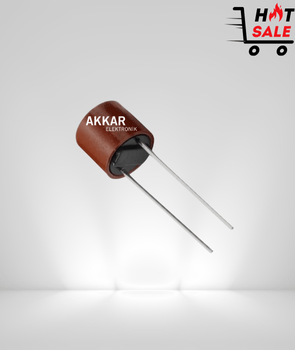 2A 250V Kondansatör Tipi Sigorta