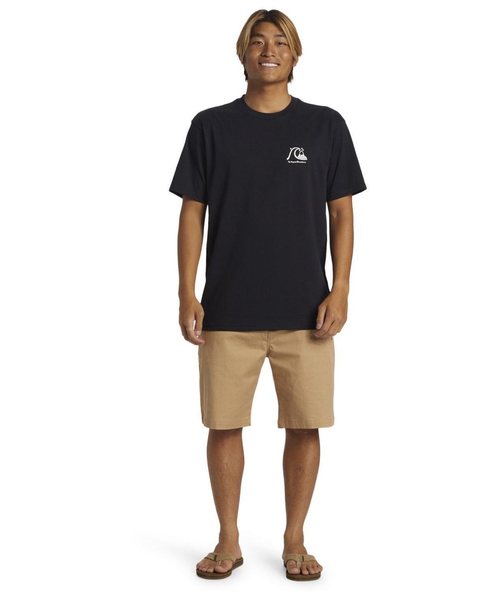 Quıksılver THE ORIGINAL BOARDSHORT MOR Erkek T-shirt AQYZT09560-QK.10010