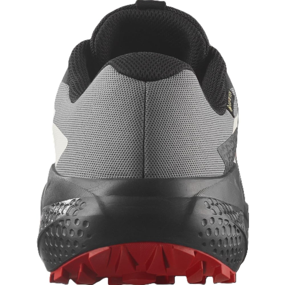 Salomon ALPHAGLIDE GORE-TEX Erkek Ayakkabısı L47975200