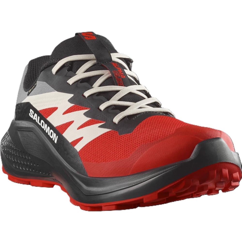 Salomon ALPHAGLIDE GORE-TEX Erkek Ayakkabısı L47975200