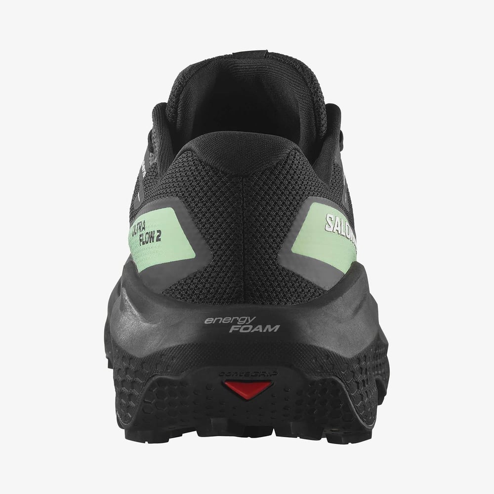 Salomon ULTRA FLOW 2 GTX Erkek Koşu Ayakkabısı L47981400