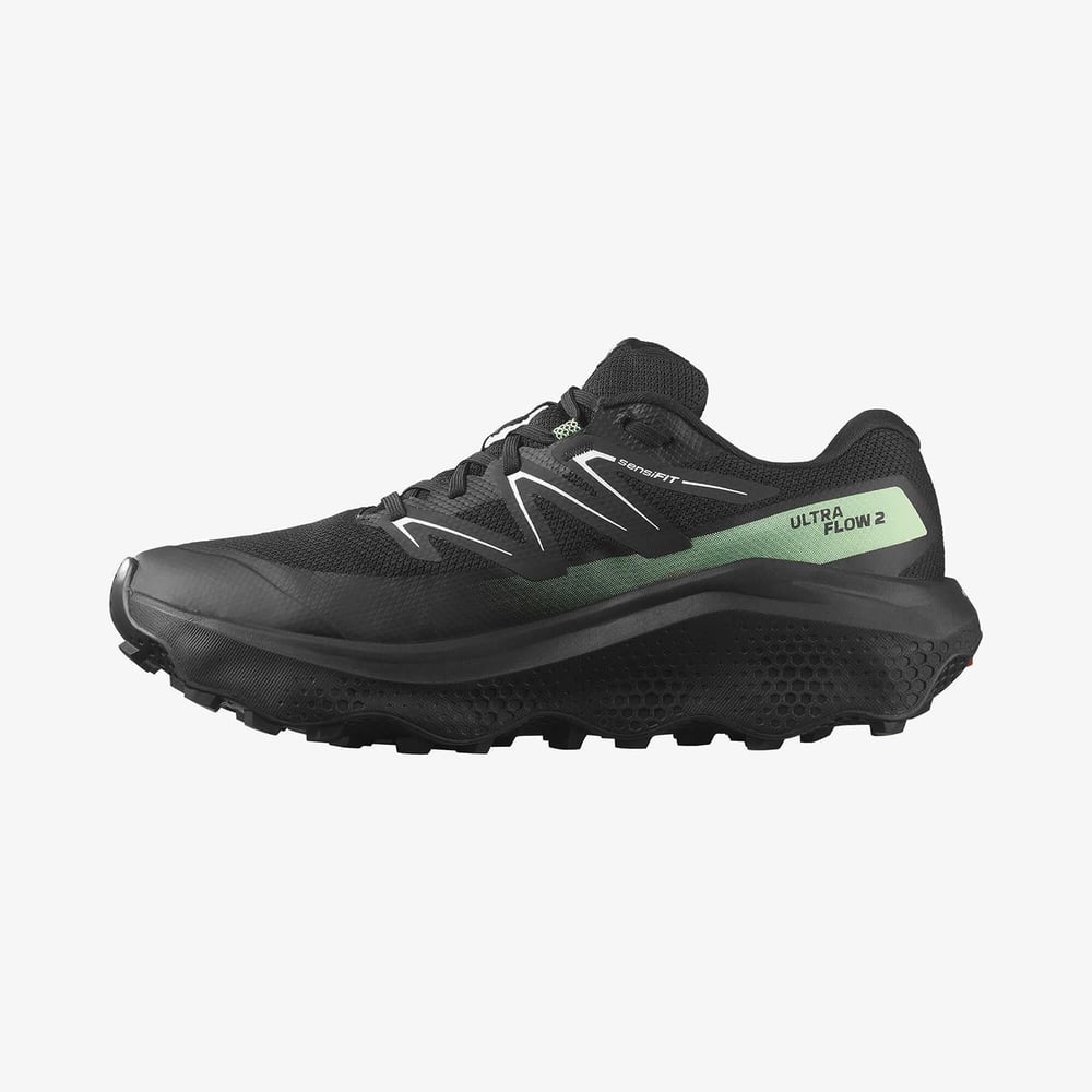 Salomon ULTRA FLOW 2 GTX Erkek Koşu Ayakkabısı L47981400