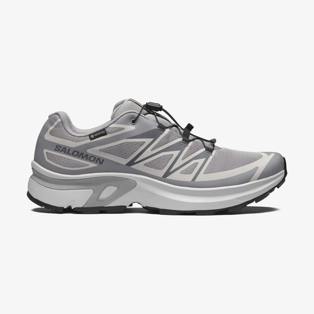 Salomon XT-EVR GTX M Erkek Ayakkabısı L49143800