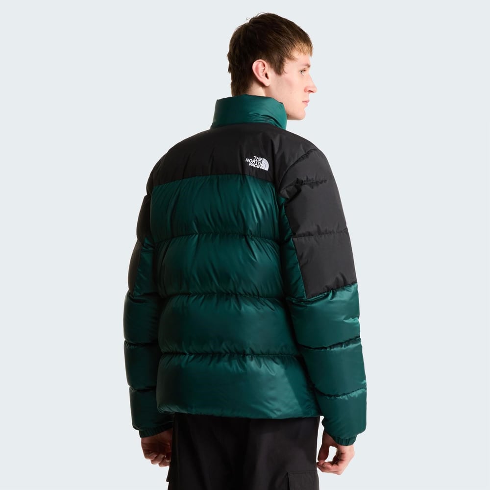 The North Face M DIABLO DOWN 2.0 JACKET Erkek Ceket NF0A8993UY61