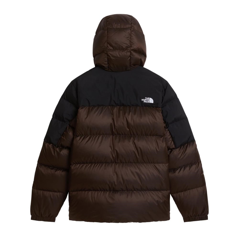 The North Face M DIABLO DOWN 2.0 HOODIE Erkek Ceket NF0A8992UQ81