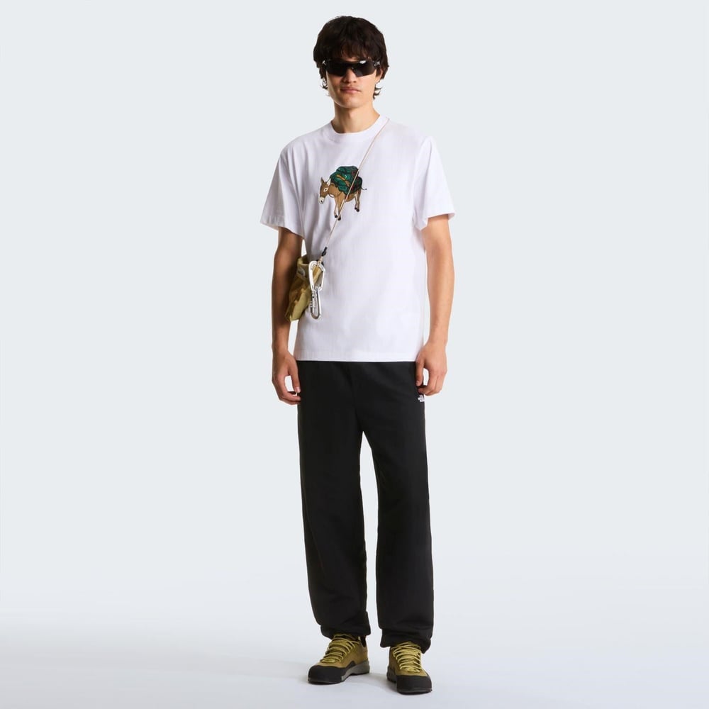 The North Face M DONKEY TAXI RELAXED SHORT SLEEVE TEE-G Erkek Tişört NF0A8G9FFN41