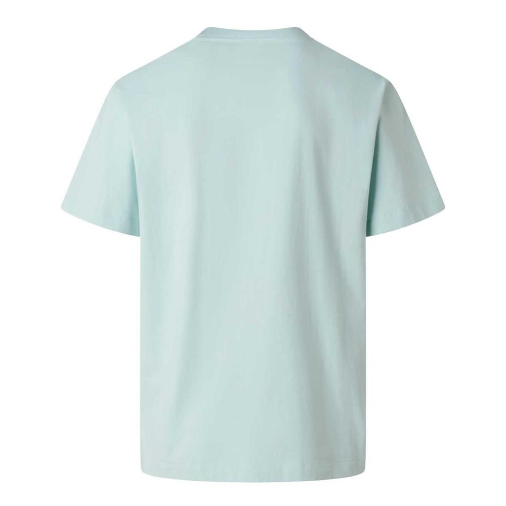 The North Face M ESSENTIAL CENTER LOGO RELAXED SHORT SL Erkek Tişört NF0A8GQEG701