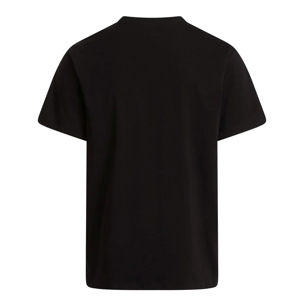 The North Face M EVOLUTION SIMPLE DOME REGULAR Erkek Tişört NF0A8CZ2JK31