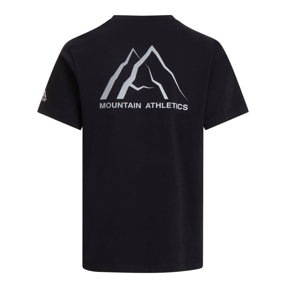 The North Face M MA GRAPHIC REGULAR SHORT SLEEVE TEE-GR Erkek Tişört NF0A8GA4JK31