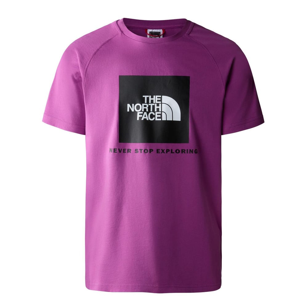 The North Face M RAGLAN REDBOX - EU Erkek Tişört  NF0A3BQOLV11