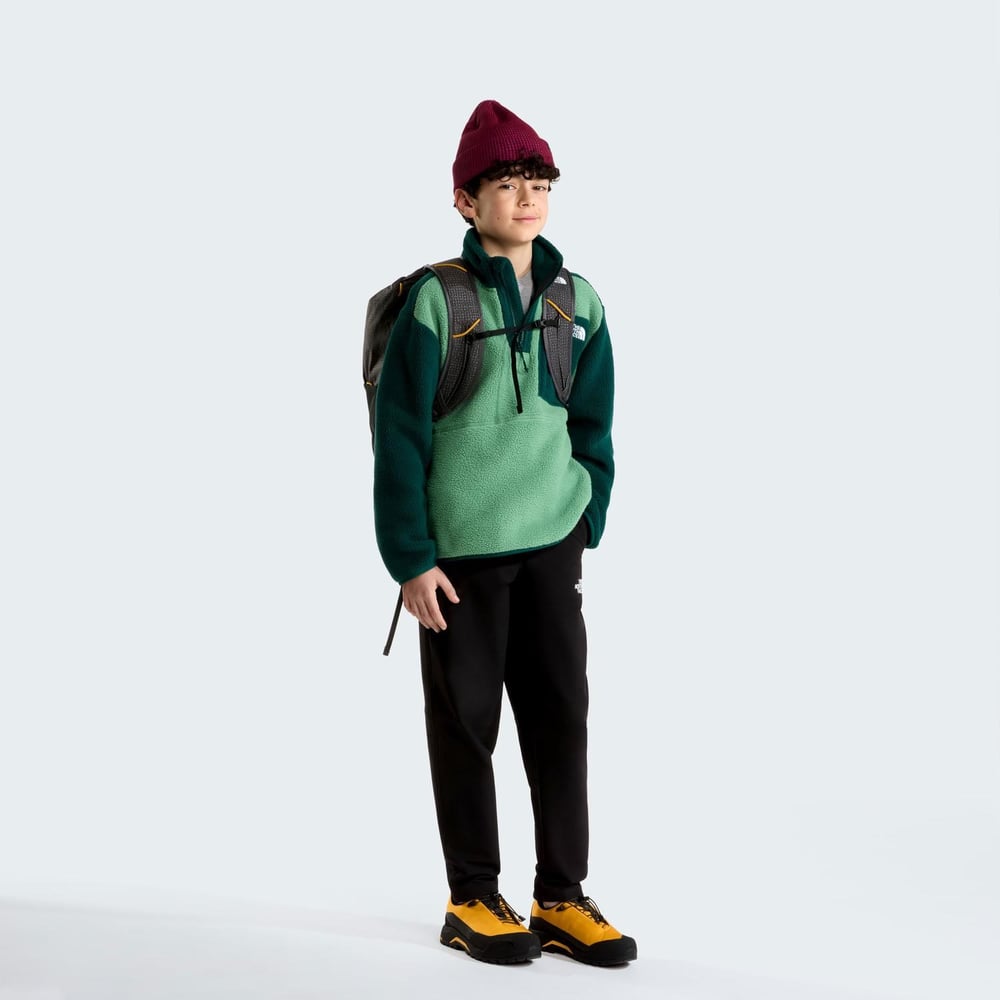 The North Face TEEN YUMIORI 1/4 ZIP JACKET Unisex Genç Çocuk Ceket NF0A8J61JZX1