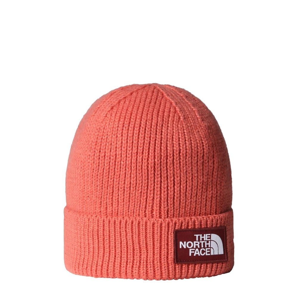 The North Face TNF Logo Box Cuffed Unisex Bere NF0A8CHEEED1