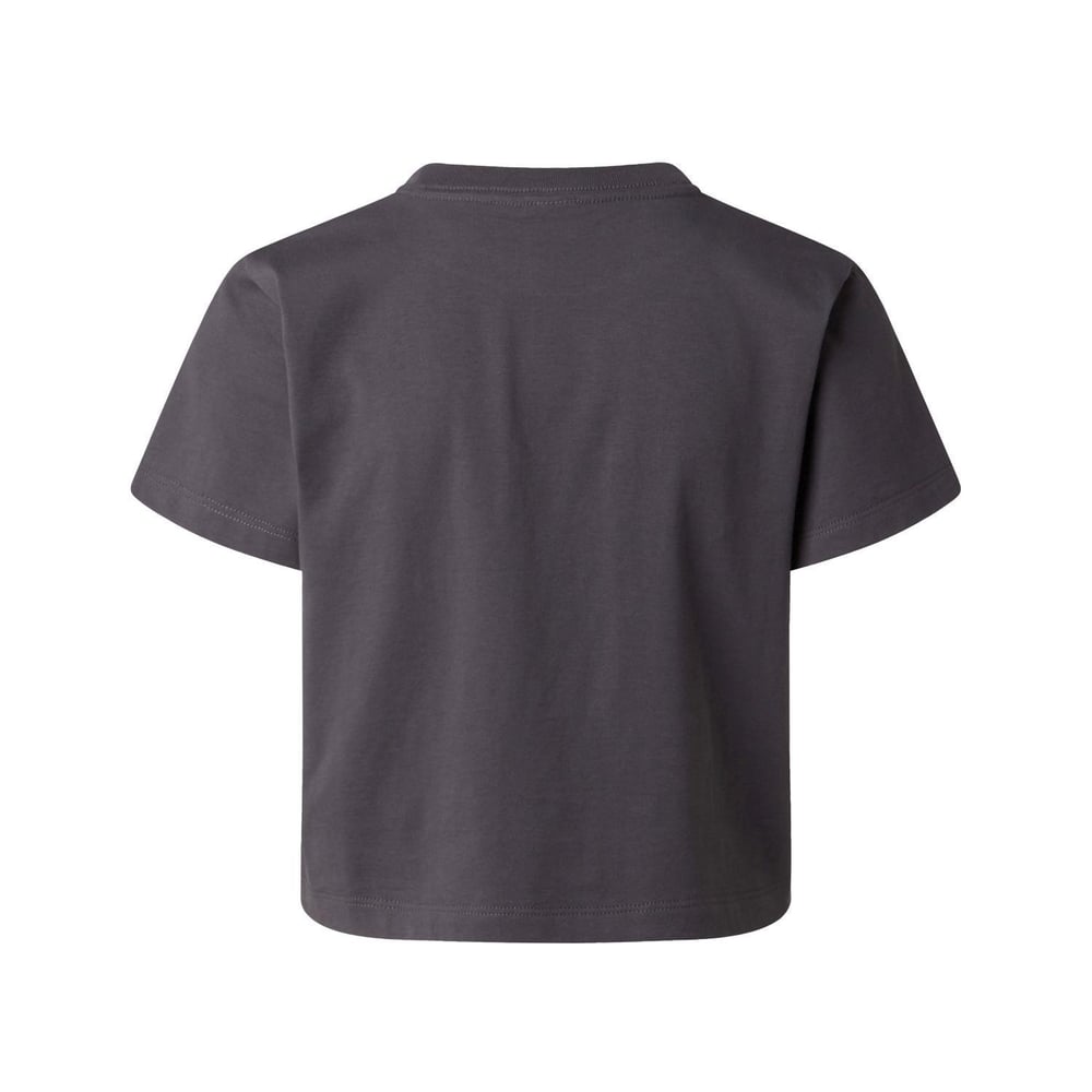 The North Face W ESSENTIAL REGULAR SHORT SLEEVE CUTIE T Kadın Tişört NF0A8GR1RHI1