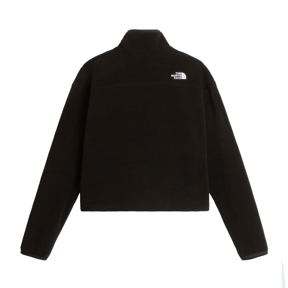 The North Face W NOVELTY LOGO GLACIER 1/4 ZIP Kadın Ceket NF0A8J3ZJK31
