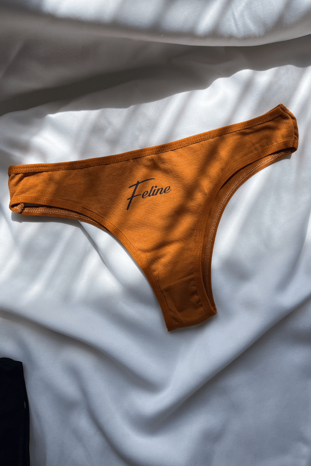 Miriam 3lü Brazilian Külot