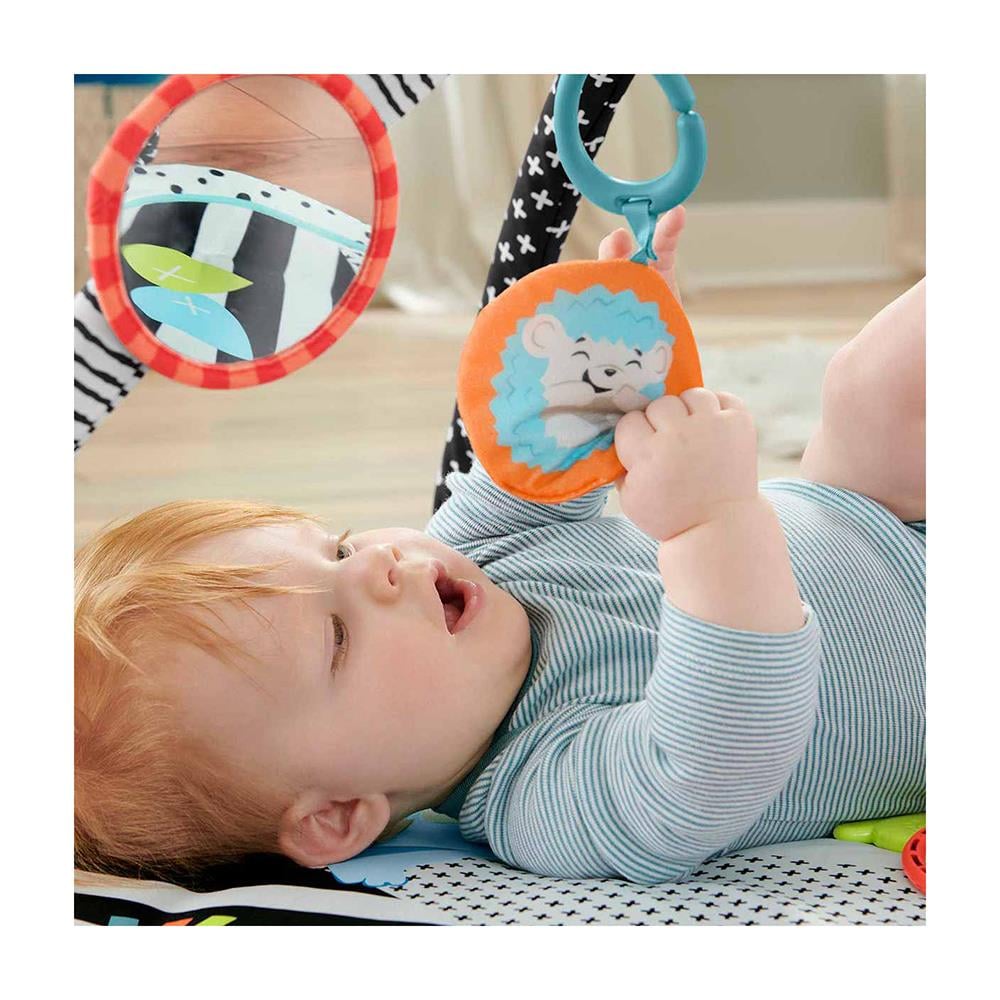 Fisher Price Neşeli Hayvanlar 3ü 1 Arada Jimnastik Merkezi