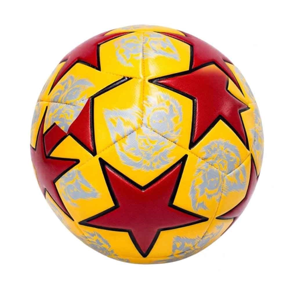 Galatasaray Futbol Topu Lion