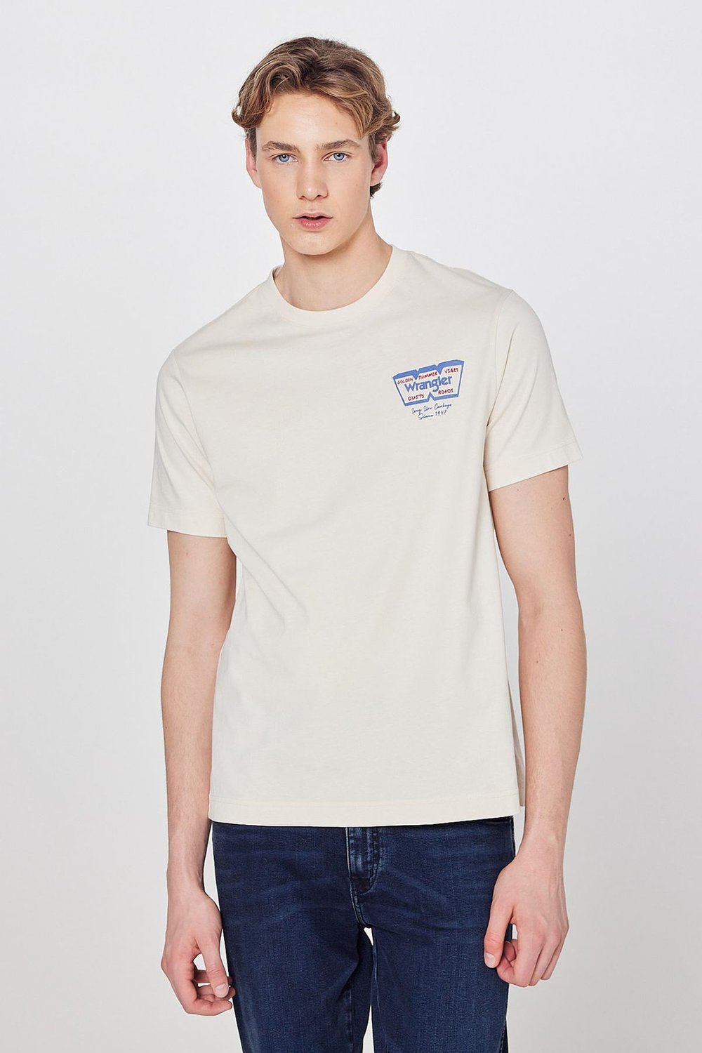 % 100 Pamuk Regular Fit Bisiklet Yaka Erkek T Shirt W2610018 614 BEJ