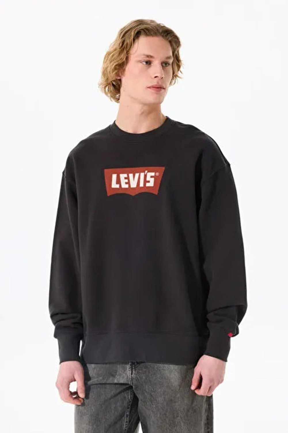 Logolu Pamuklu Regular Fit Kapüşonlu Erkek Sweat 003VL-0003 SİYAH