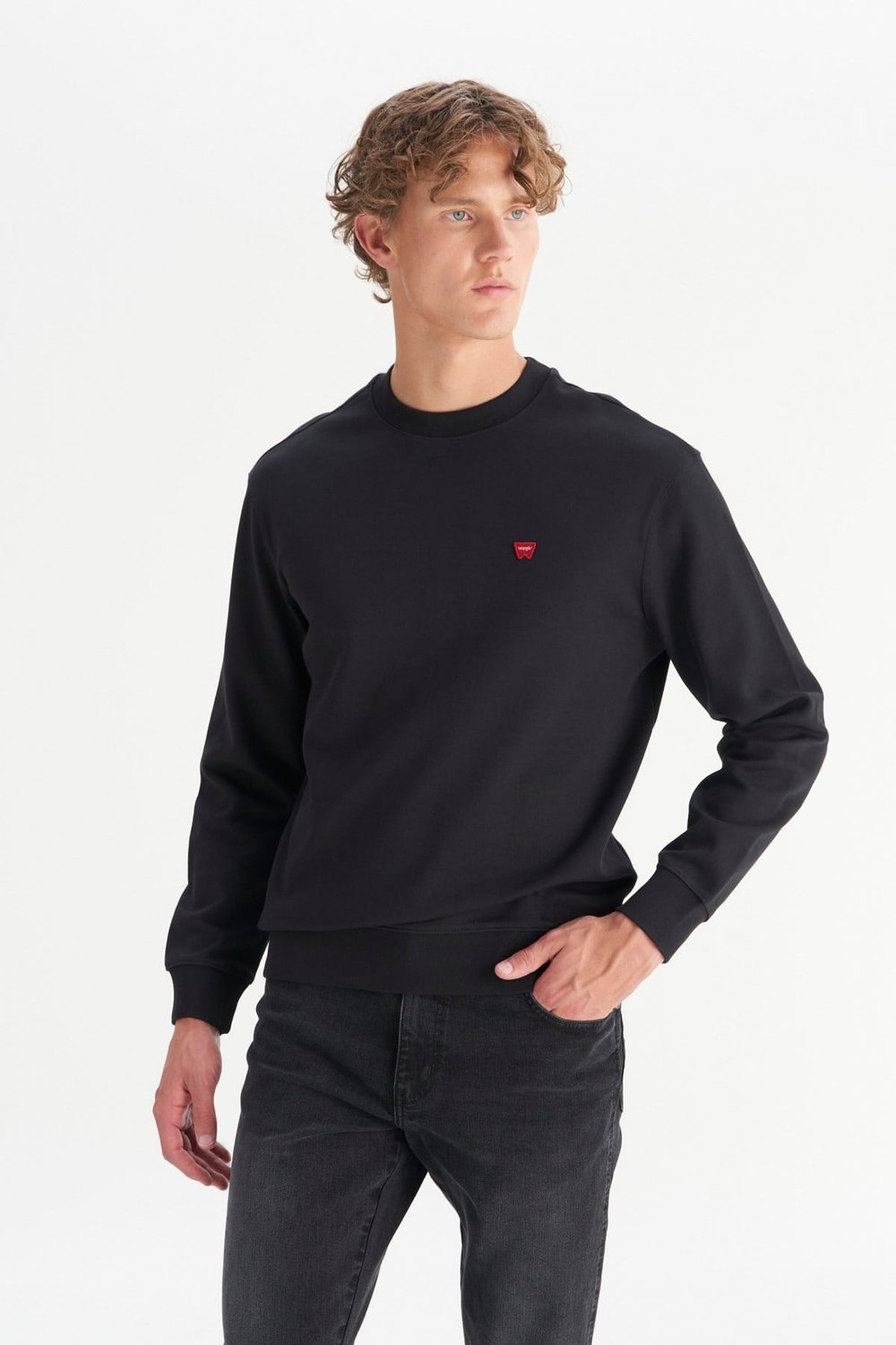 Pamuklu Regular Fit Bisiklet Yaka Erkek Sweat GW2520255 001 SİYAH