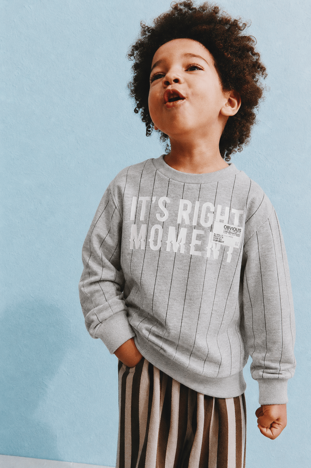 Boys 3-Thread Striped Printed Sweatshirt 9-14 Years - 325359
