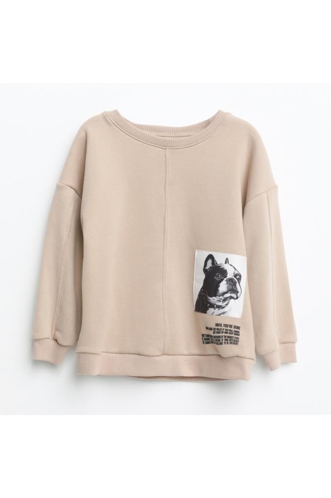 321329Erkek Çocuk Baskılı Sweatshirt 1-5 Yaş