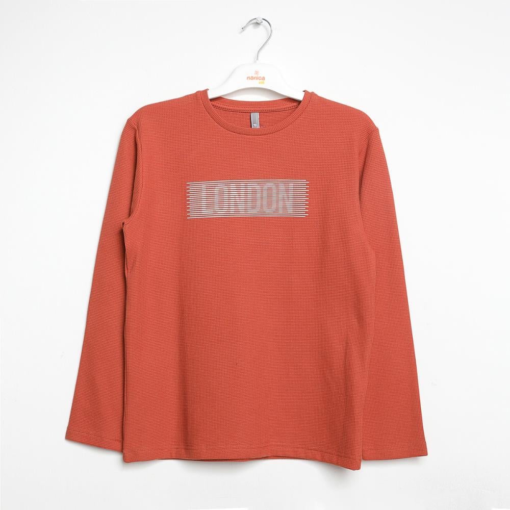 322308Erkek Çocuk Cotton Sweatshirt 1-5 Yaş