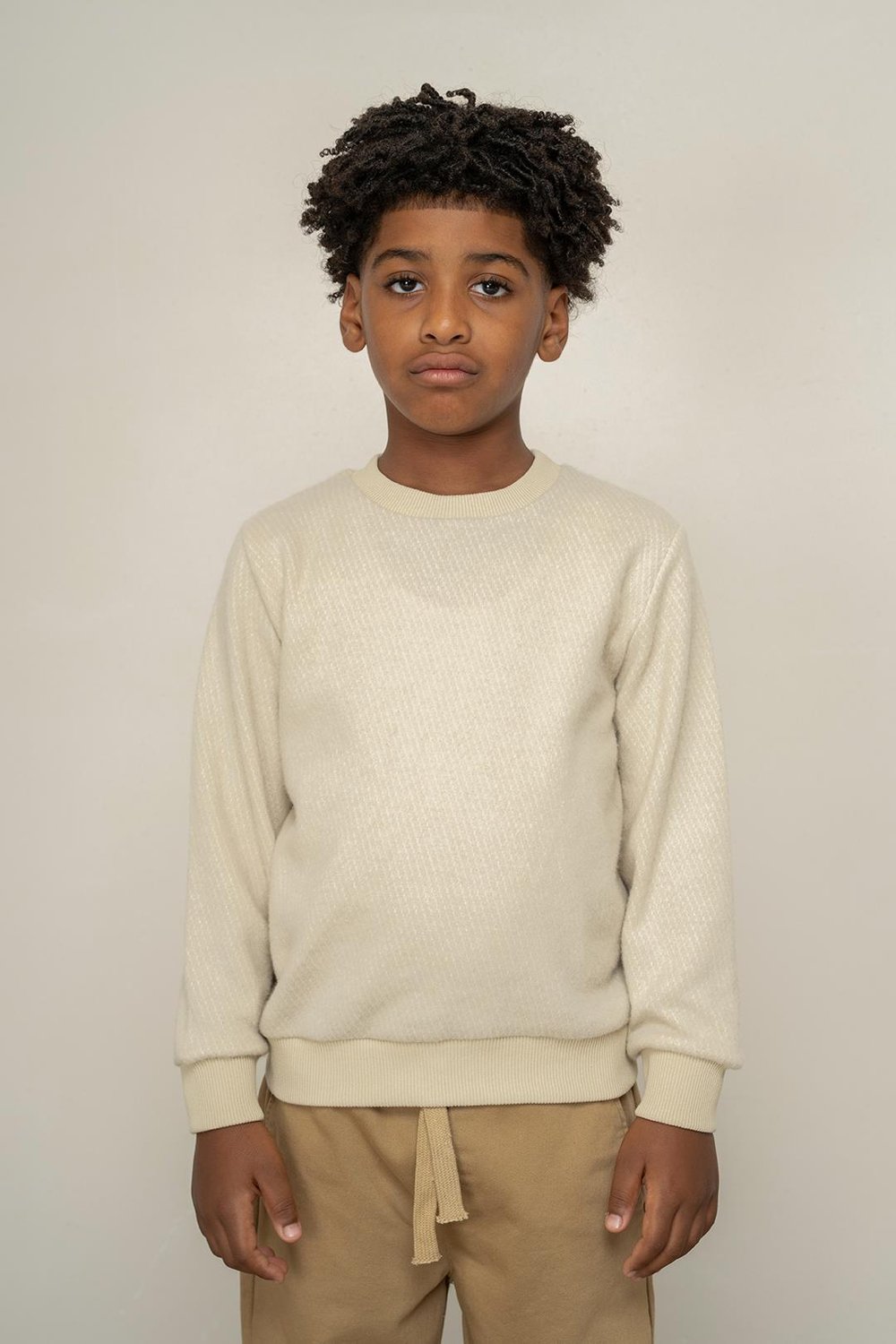 325336Erkek Çocuk Jakarlı Sweatshirt 3-8 Yaş -325336