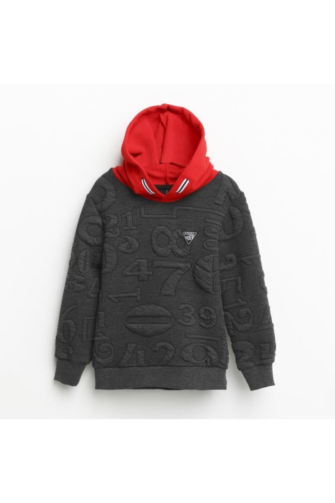 321333Erkek Çocuk Kapşonlu Sweatshirt 1-5 Yaş