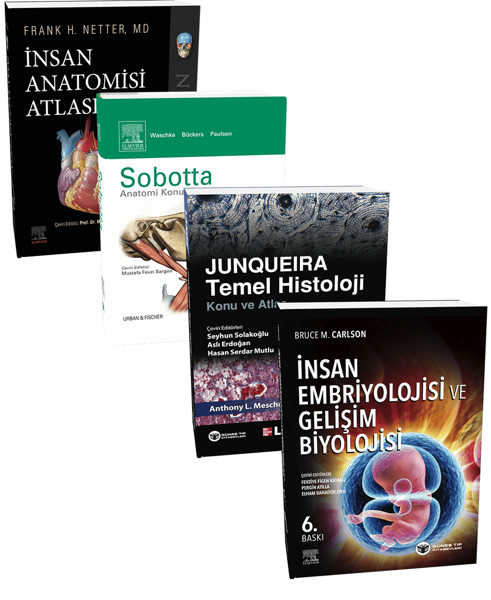 1. sınıf guytonsuz