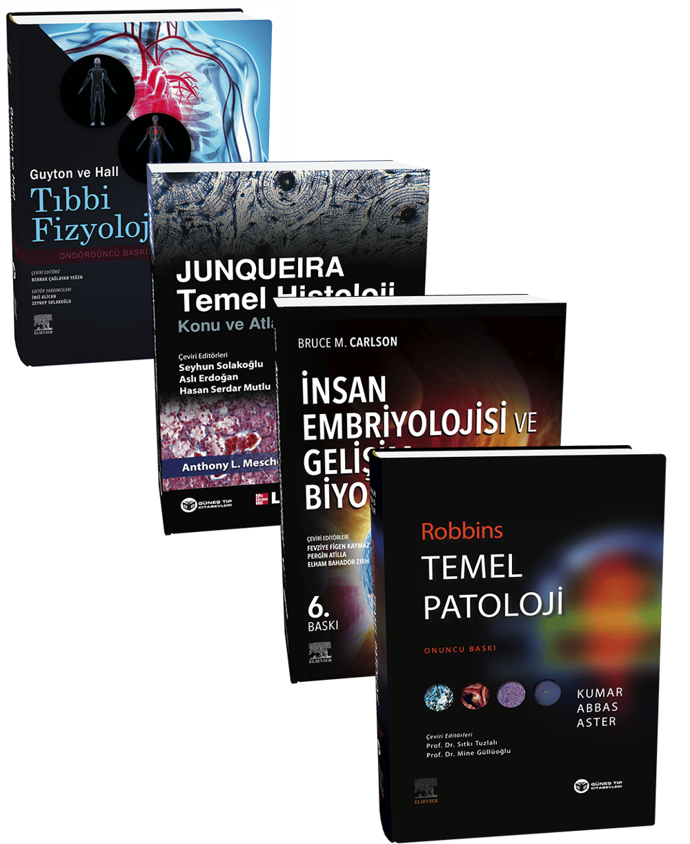 2. sınıf levinsonsuz
