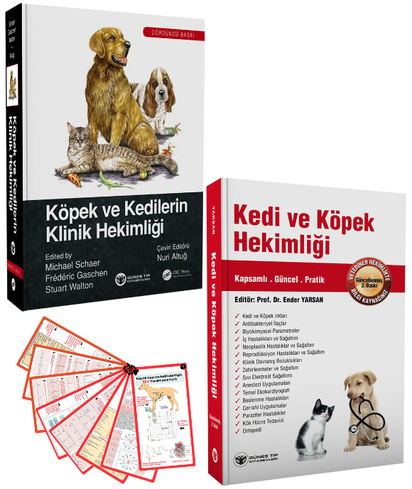 2024 - Muhteşem Kedi ve Köpek Seti (3 ÇOK SATAN BU SETTE)