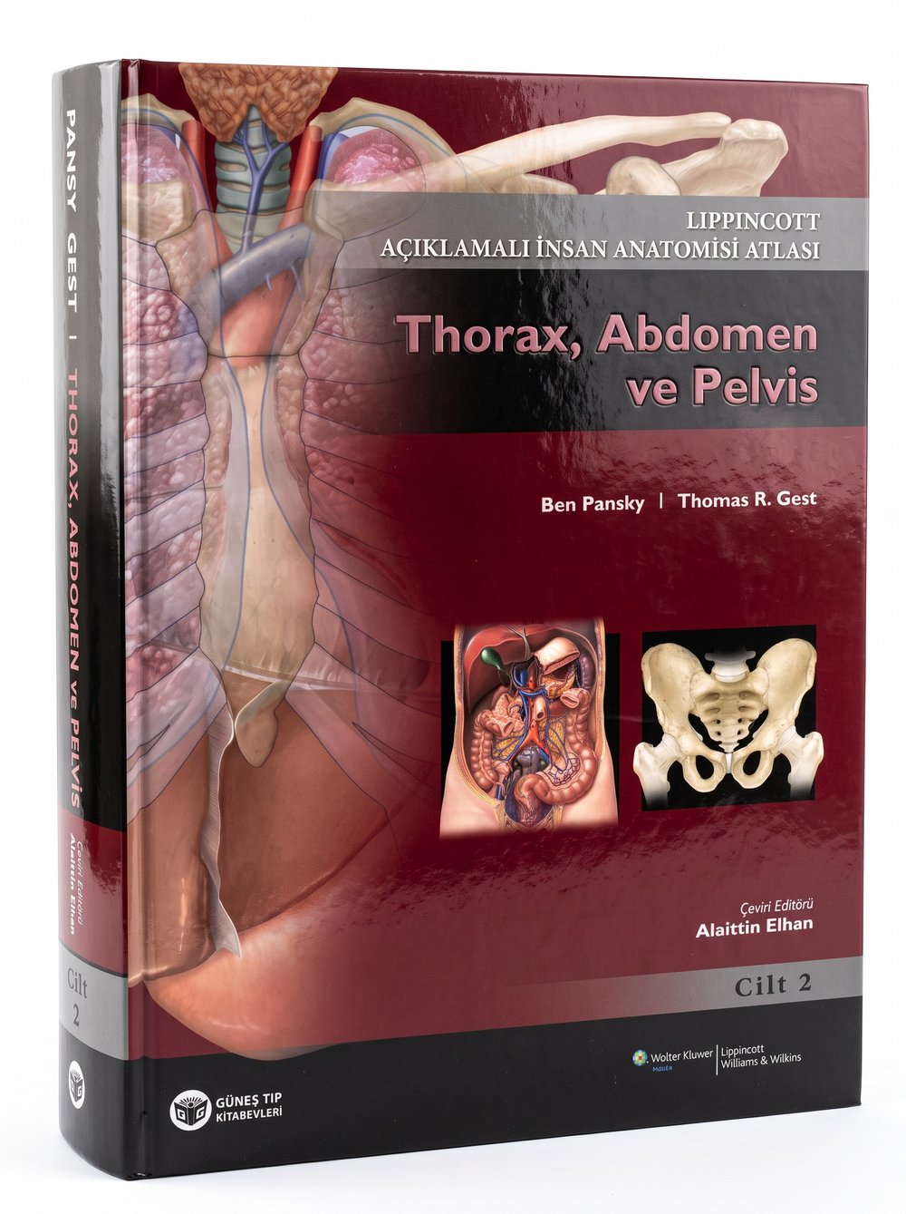 Açıklamalı İnsan Anatomisi Atlası-2