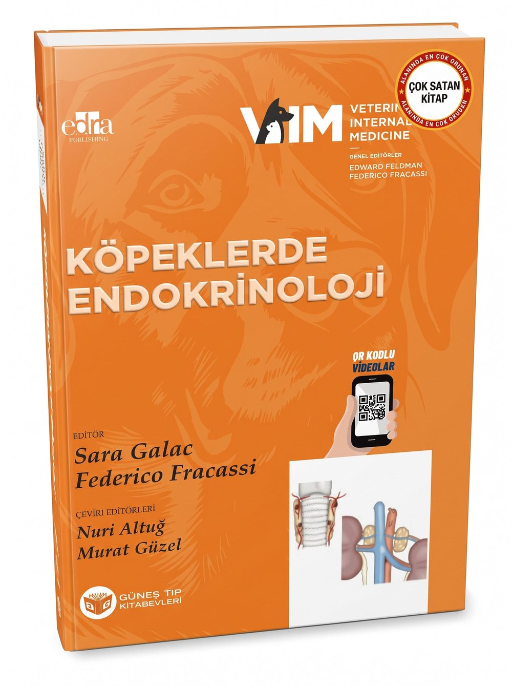 FELDMAN - Köpeklerde Endokrinoloji (QR Kodlu Videolu)