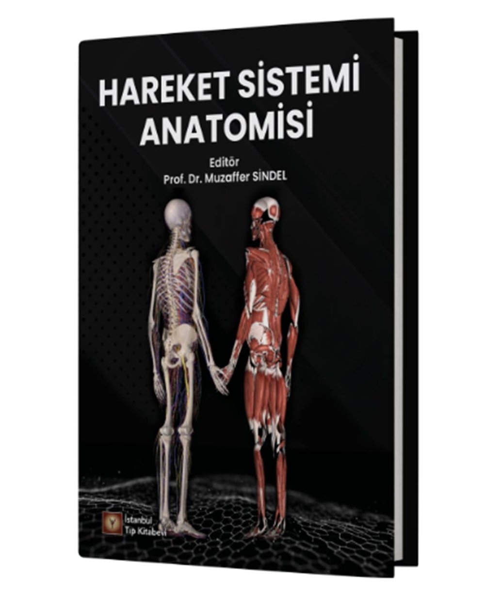 Hareket Sistemi Anatomisi