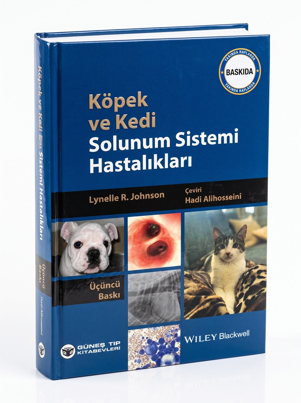 Köpek ve Kedi Solunum Sistemi Hastalıkları 