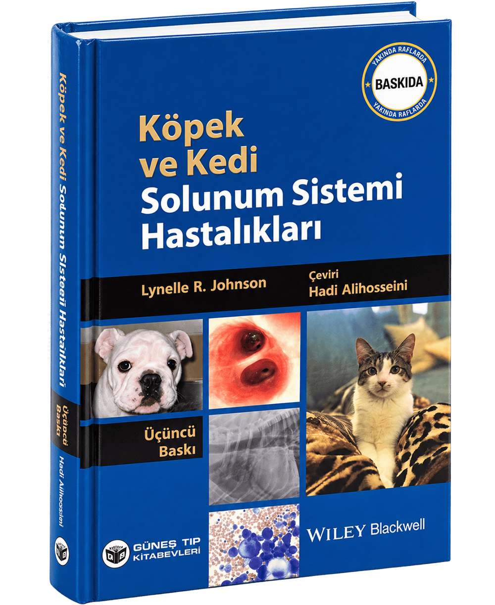 Köpek ve Kedi Solunum Sistemi Hastalıkları 