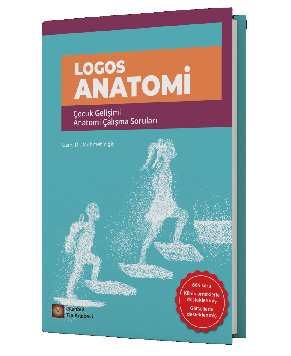 Logos Anatomi Çocuk Gelişimi Anatomi Çalışma Soruları