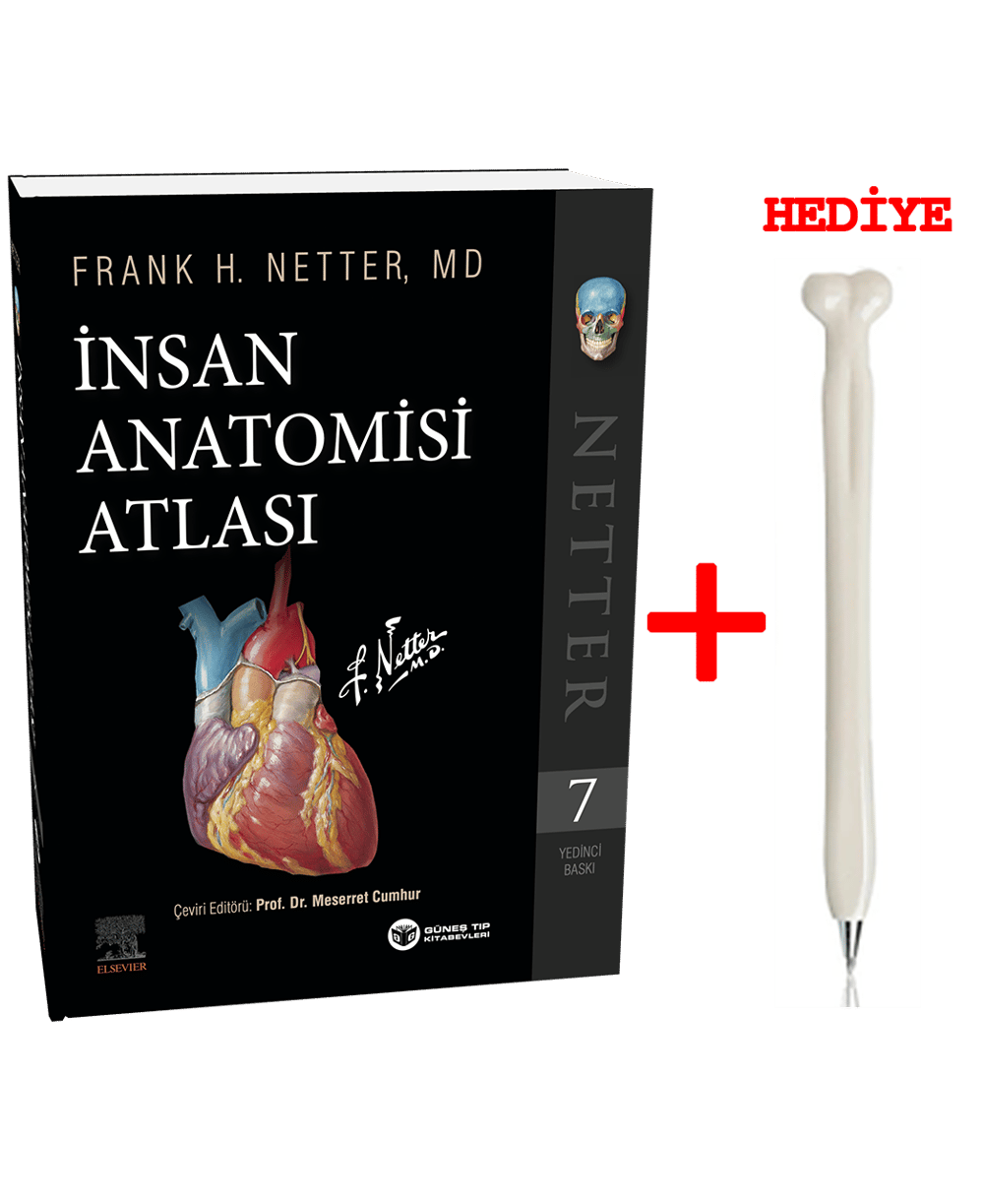 Netter İnsan Anatomisi Atlası