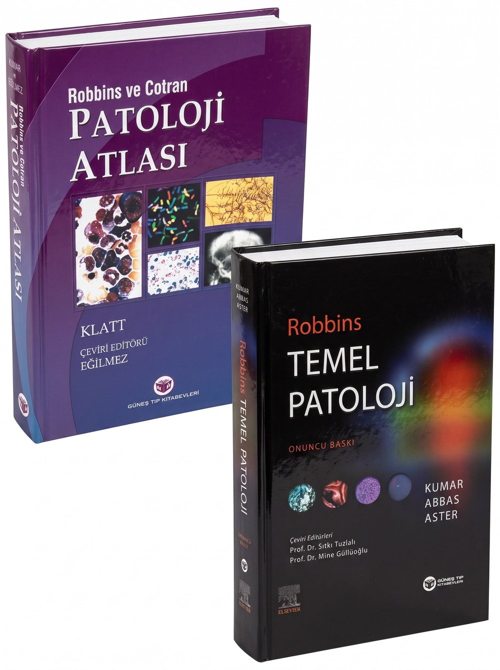 Robbins Patoloji Başlangıç Seti (2 ÇOK SATAN KİTAP)