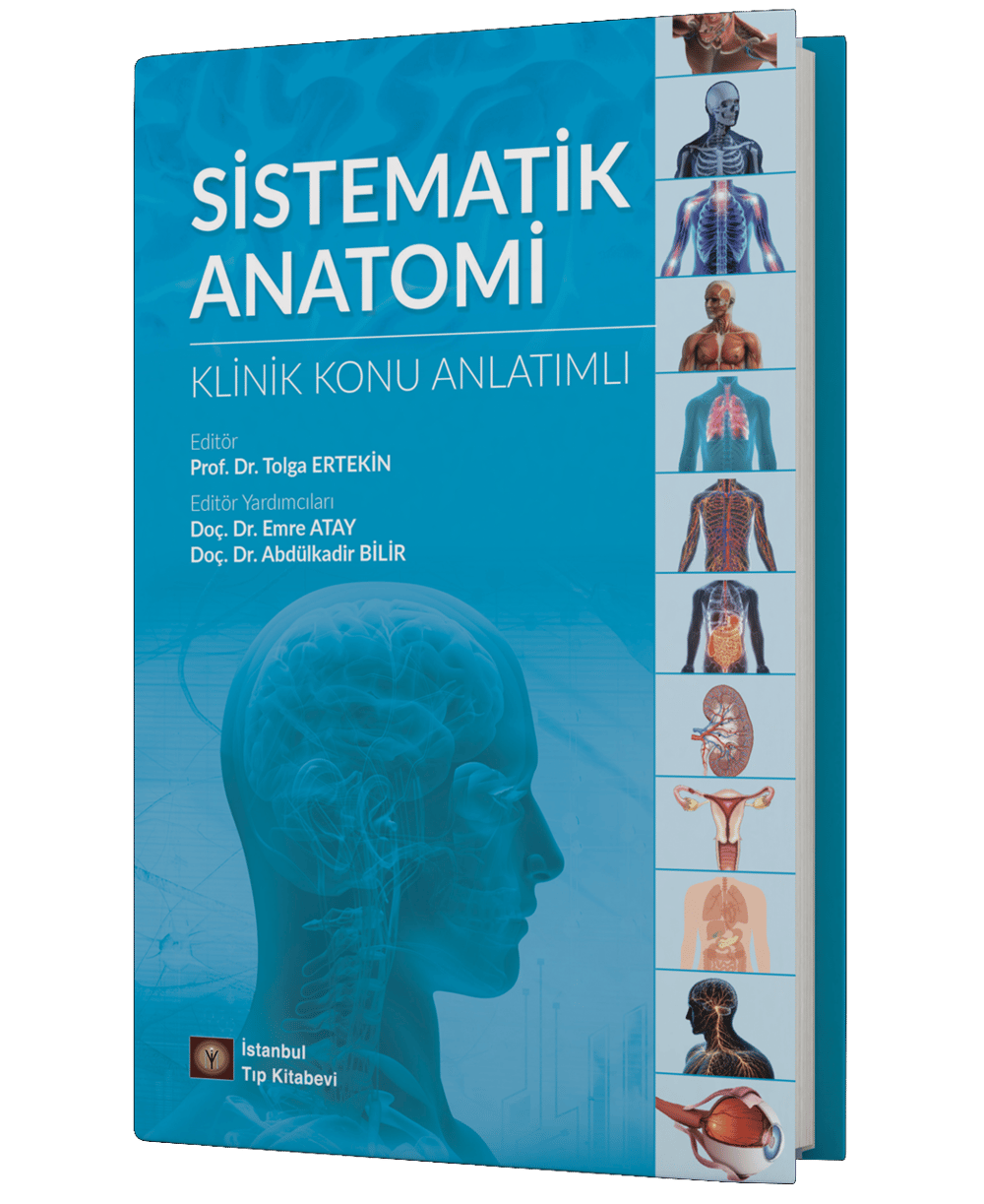 Sistematik Anatomi Klinik Konu Anlatımlı