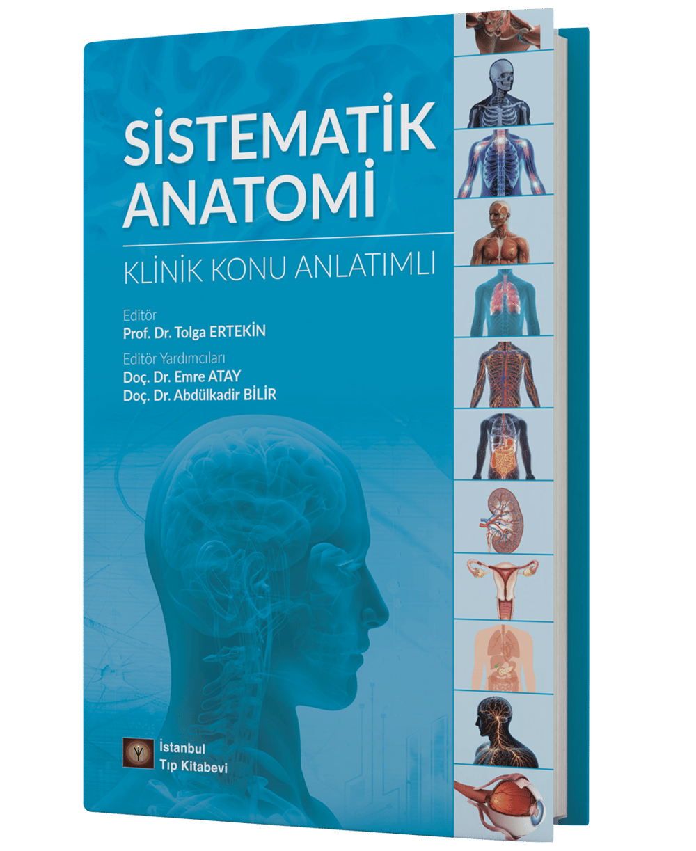 Sistematik Anatomi Klinik Konu Anlatımlı