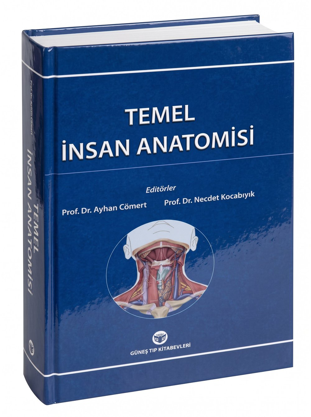 Temel İnsan Anatomisi
