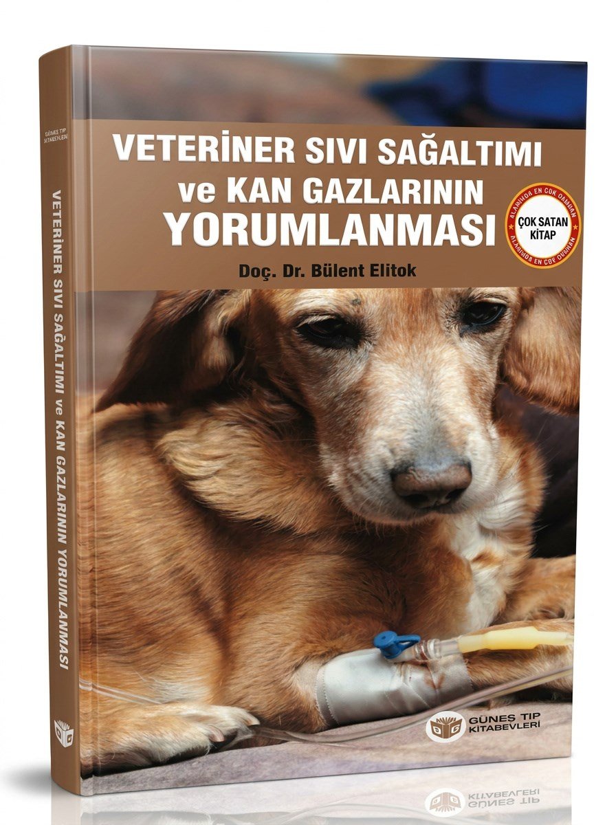 Veteriner Sıvı Sağaltımı ve Kan Gazlarının Yorumlanması