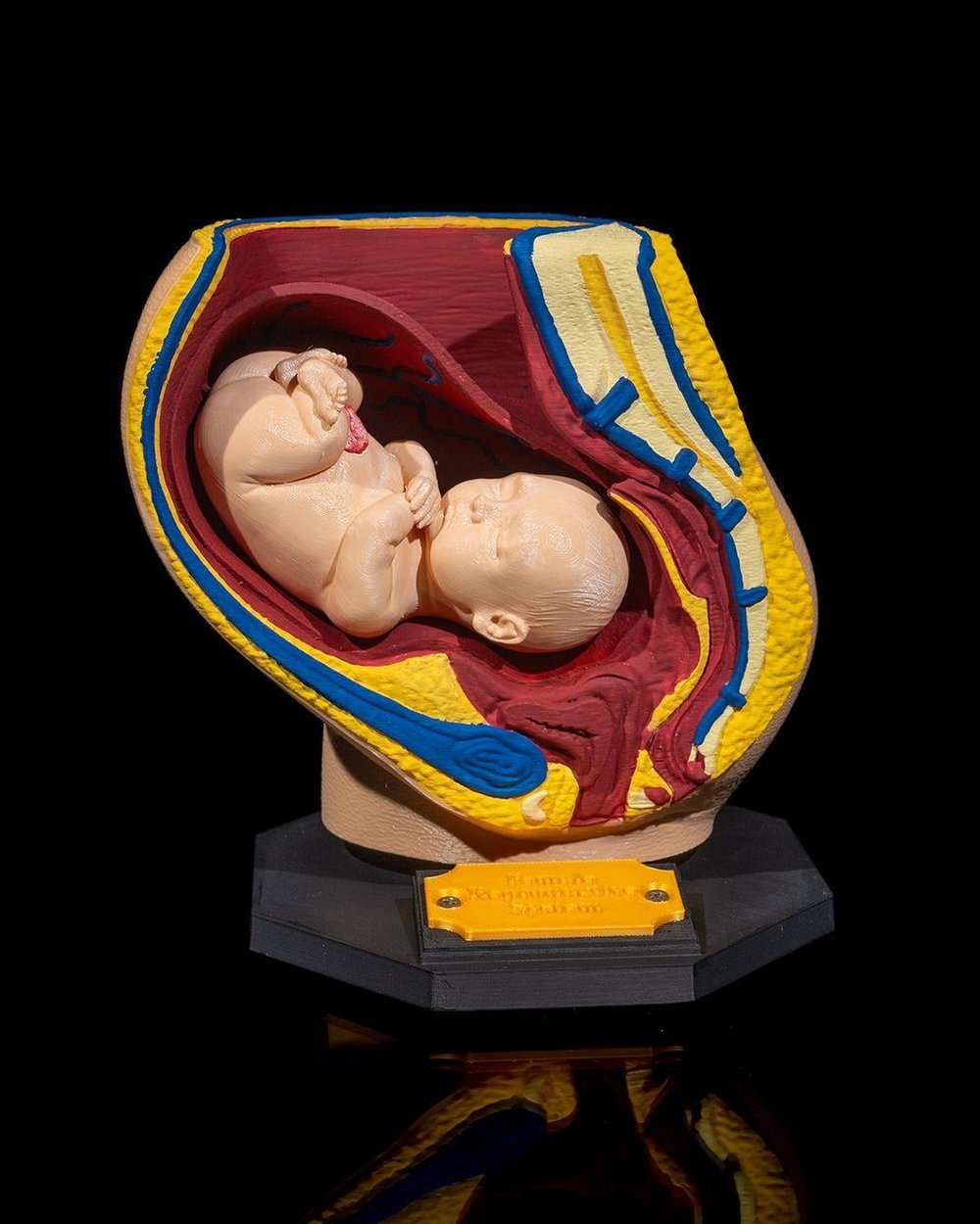 kadin-ureme-sistemi-modeli-5218c6.jpg